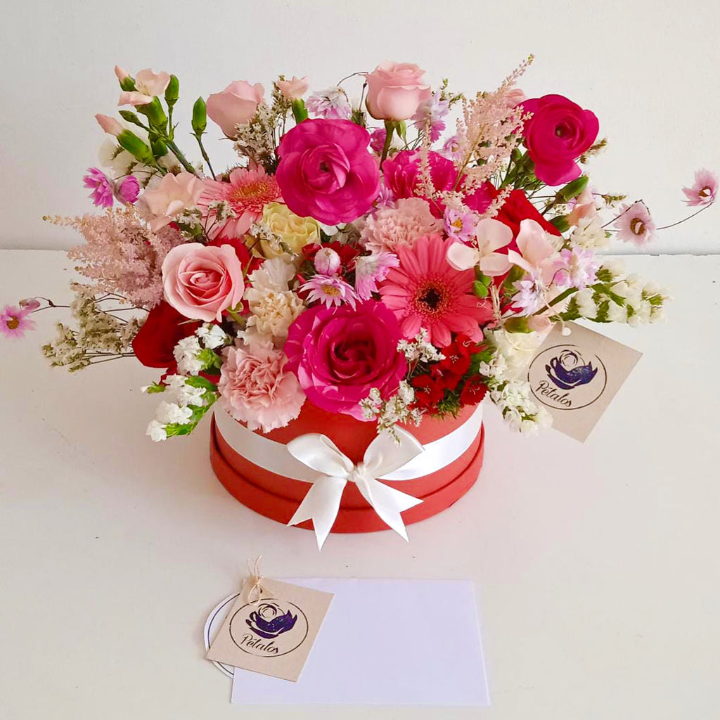 Jardincito rojo rosado y blanco