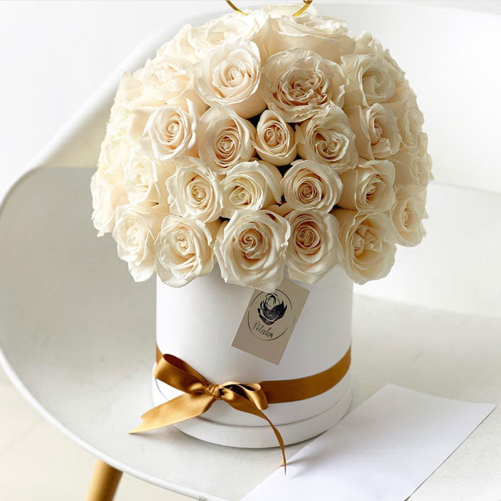 Caja Cilíndrica Rosas Blancas - Pétalos