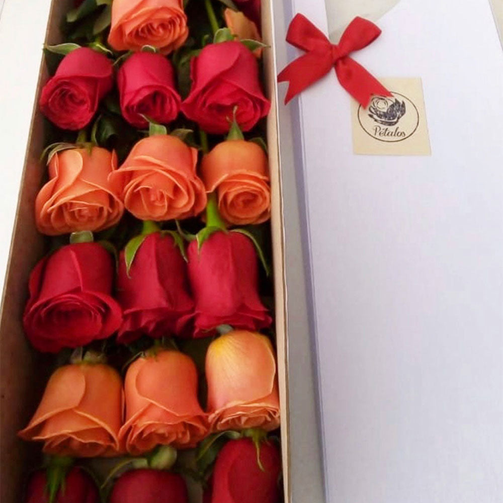 Caja de rosas rojas y salmón - Pétalos