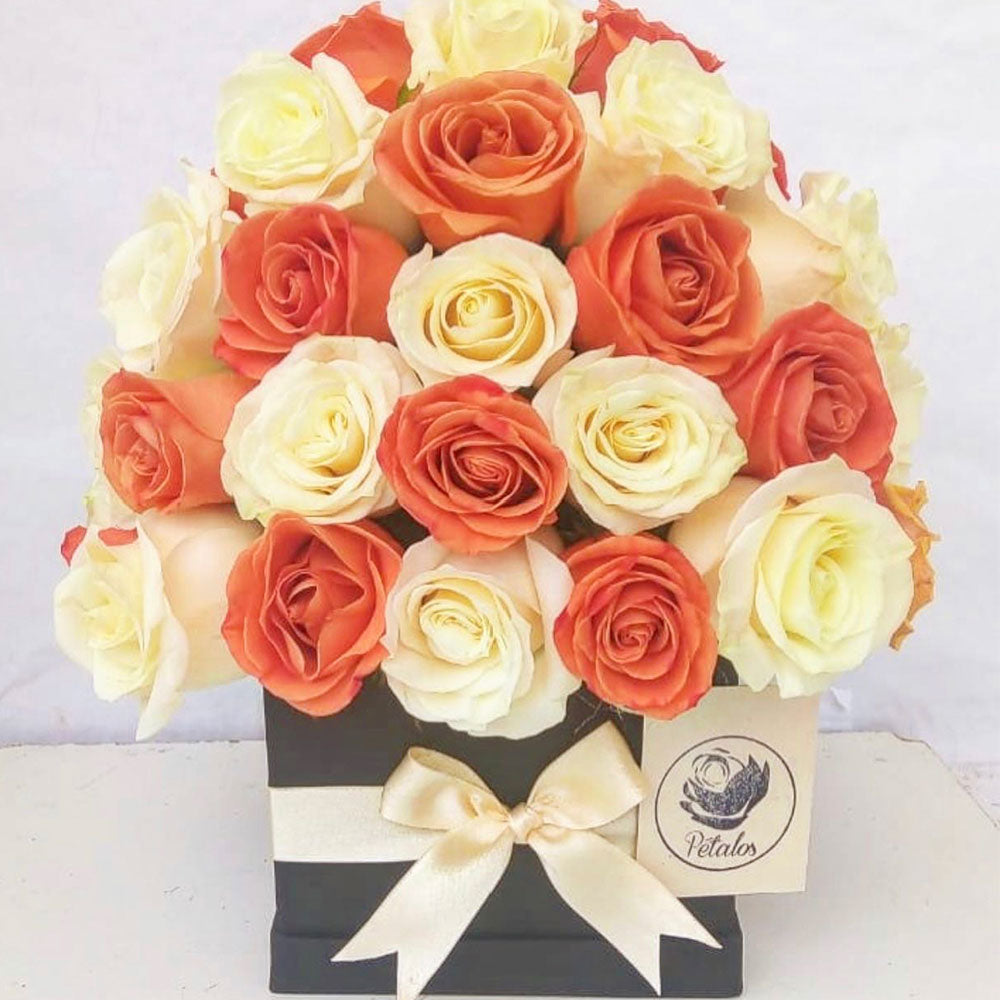 Caja de rosas Salmón y Blanco - Pétalos