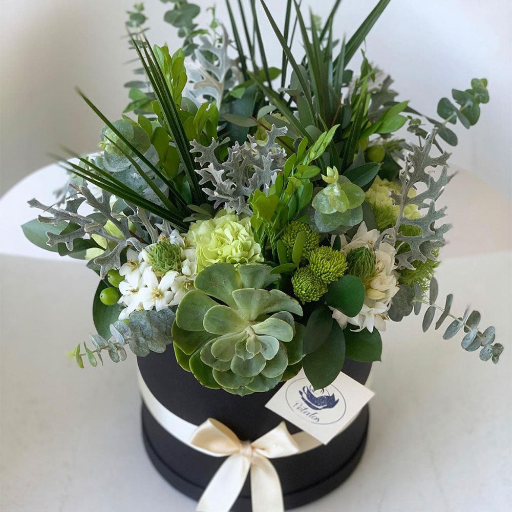 Jardincito Verde - Pétalos