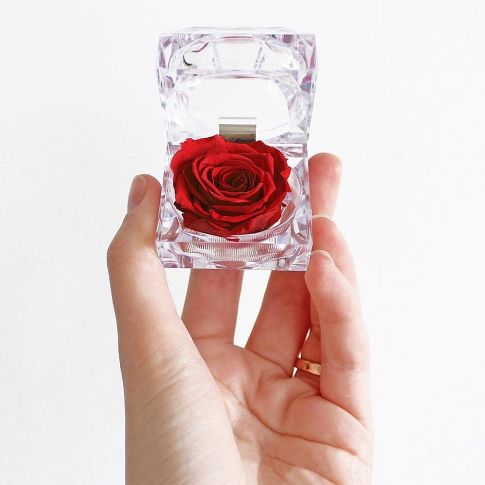 Rosa roja preservada - Pétalos