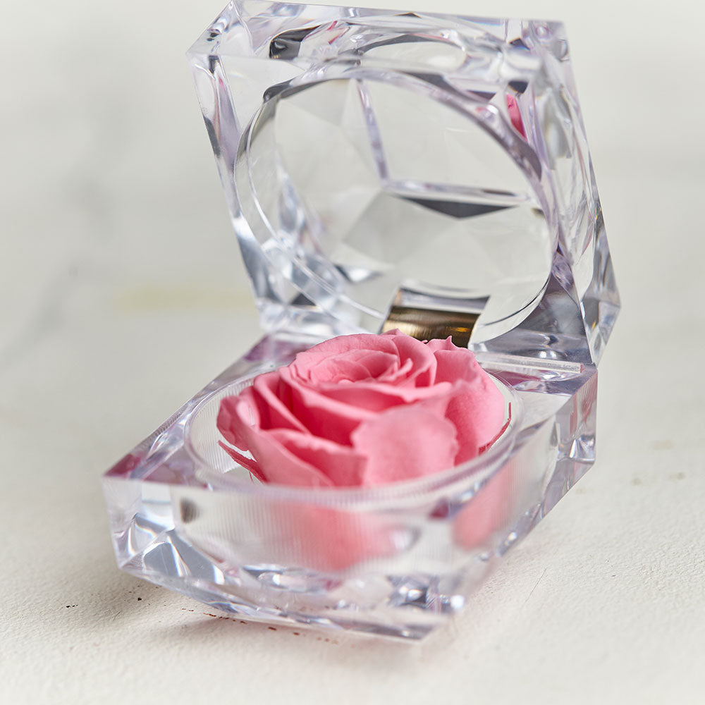 Rosa rosada preservada - Pétalos