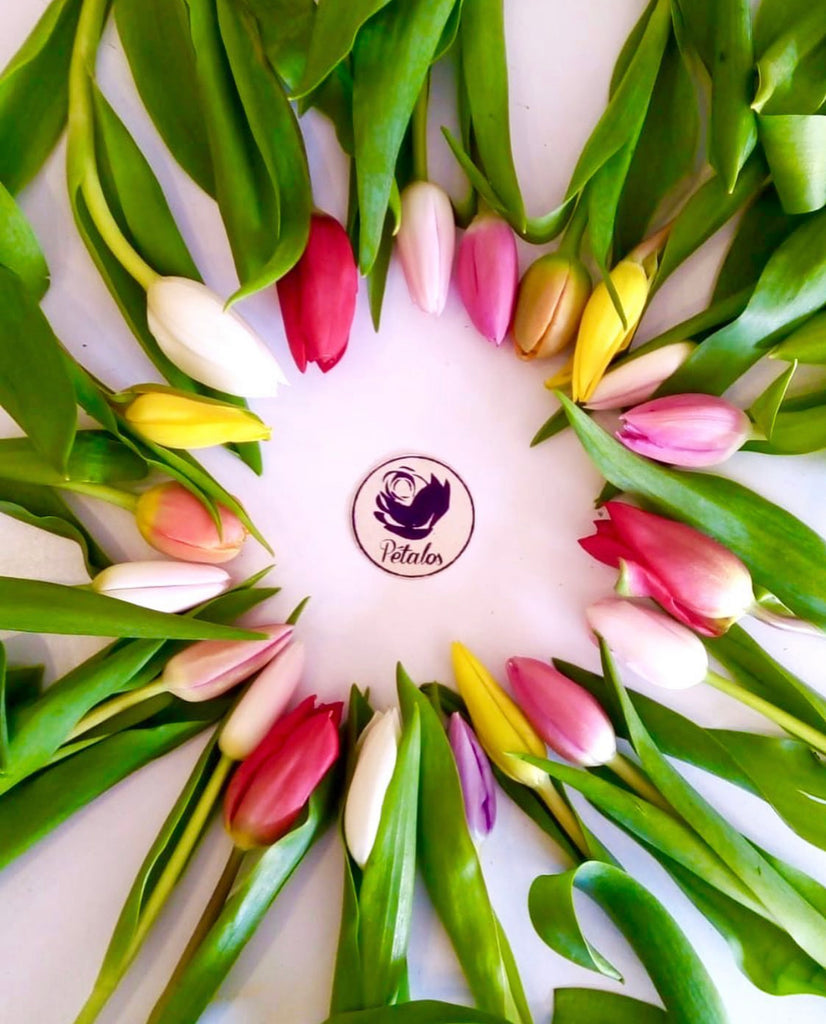 Significado de los colores de las flores y tulipanes