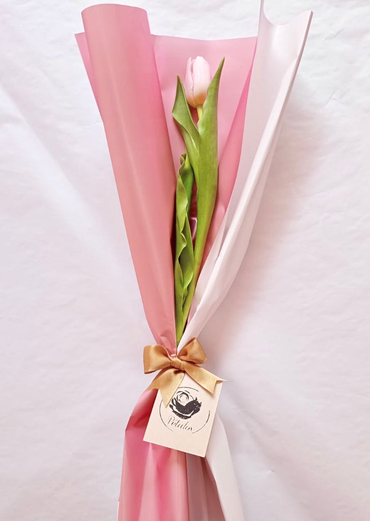 Bouquet deluxe de un tulipán rosado