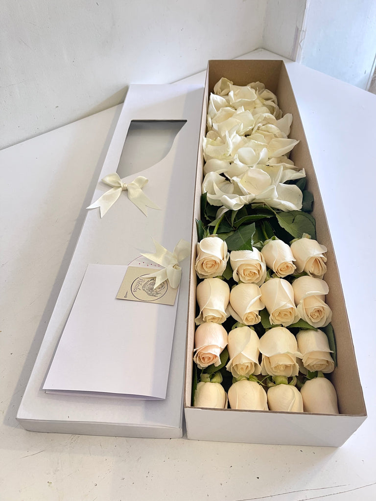 Caja premium 16 rosas blancas