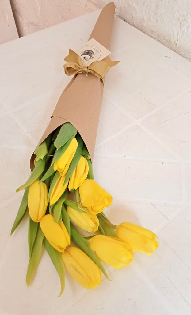 Cono de 10 tulipanes amarillos