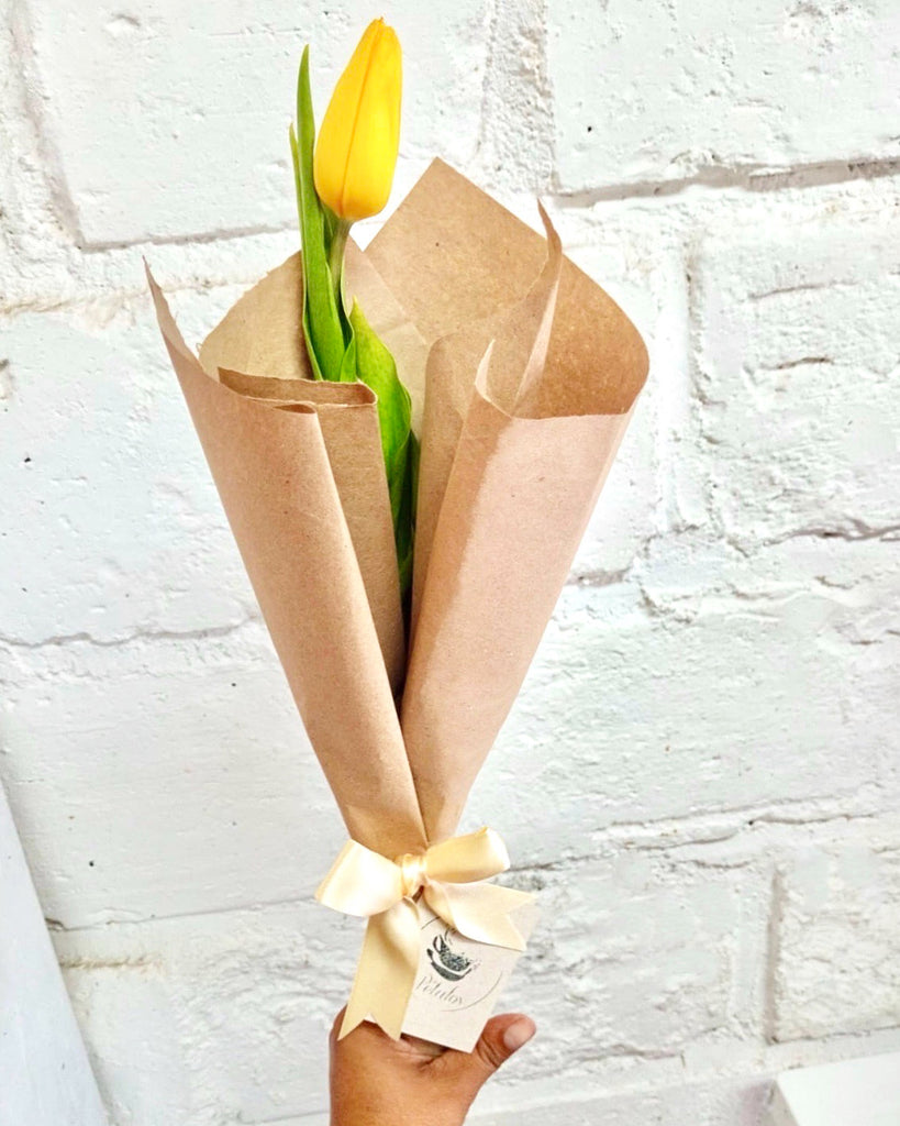 Cono de un tulipán amarillo