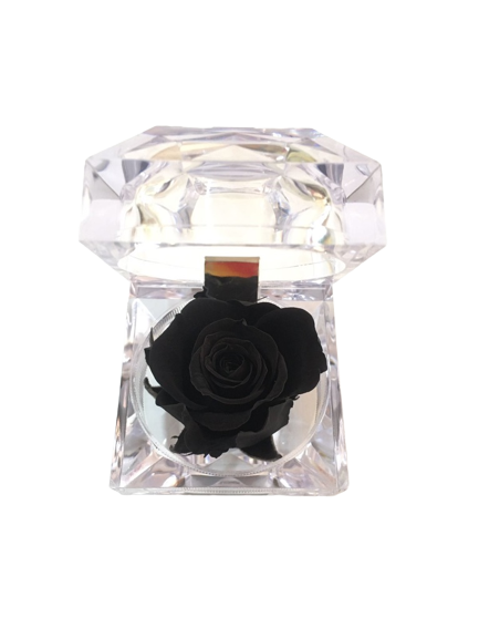Rosa preservada negra en cofre de lujo