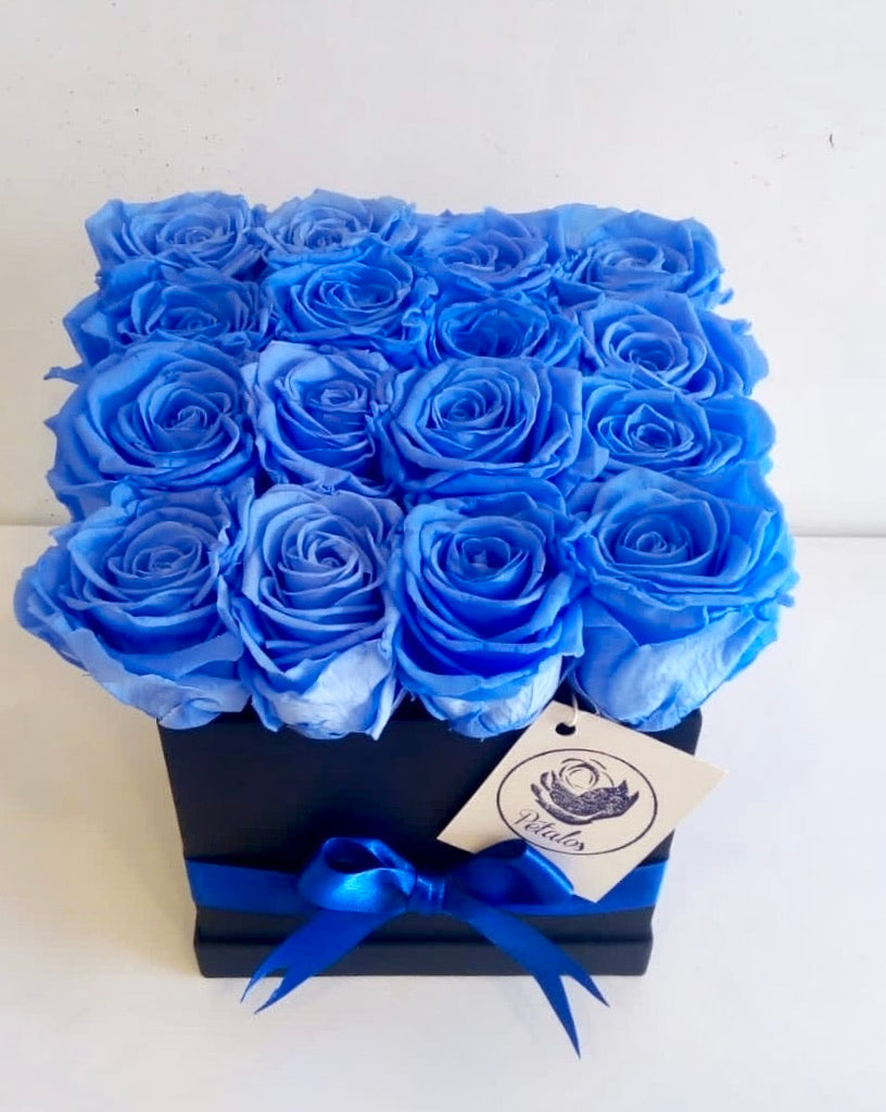 Caja deluxe de 16 rosas preservadas azules