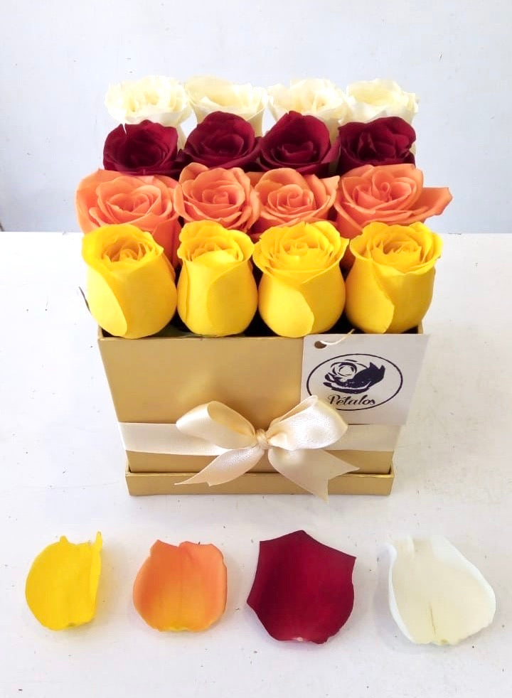 Caja deluxe dorada 16 rosas amarillas, salmón, rojo y blanco