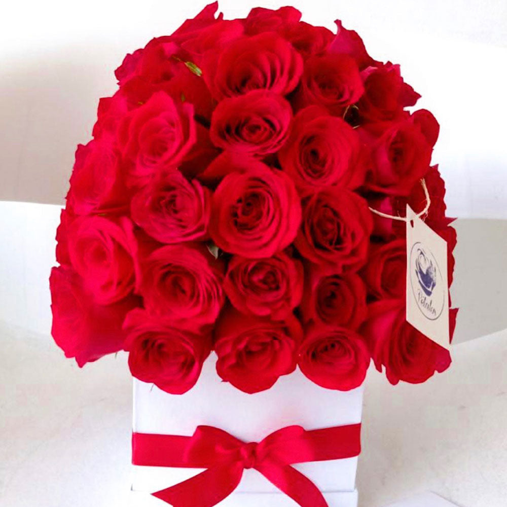 Caja de 40 rosas rojas - Pétalos
