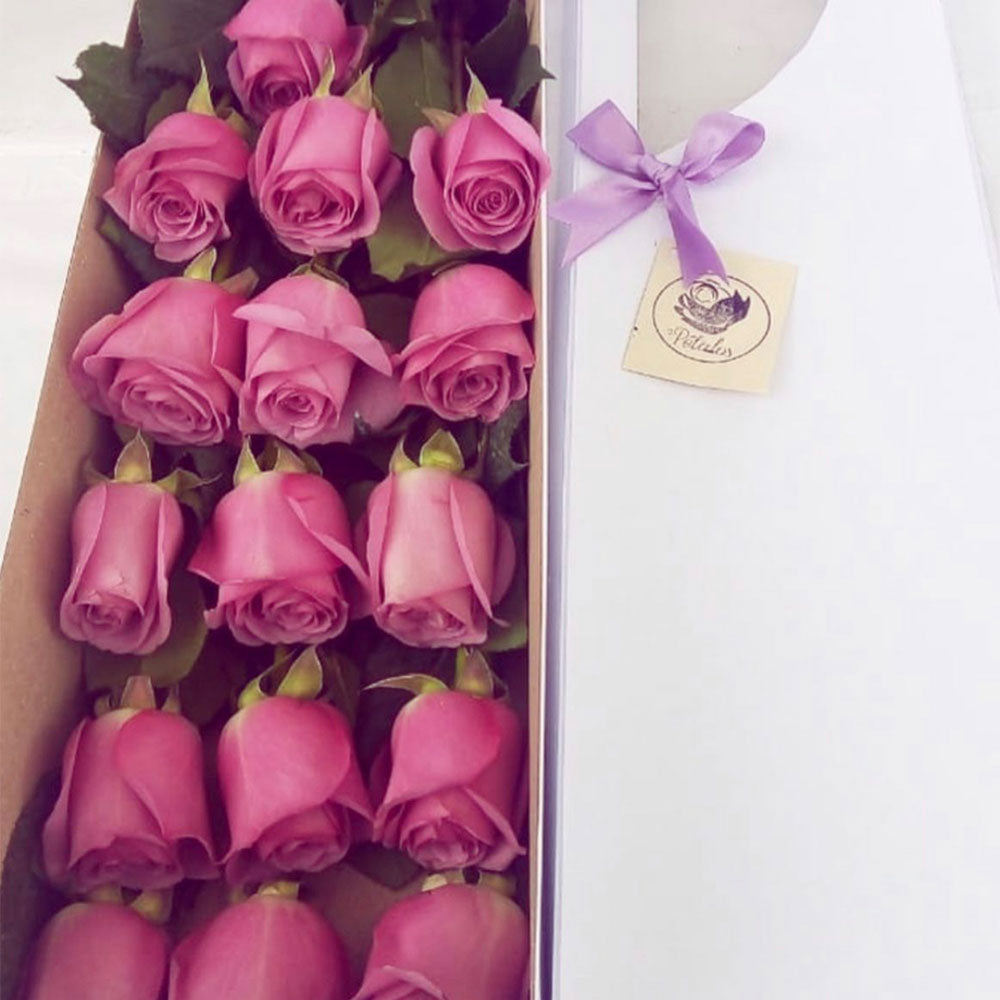 Caja Larga de rosas lila - Pétalos
