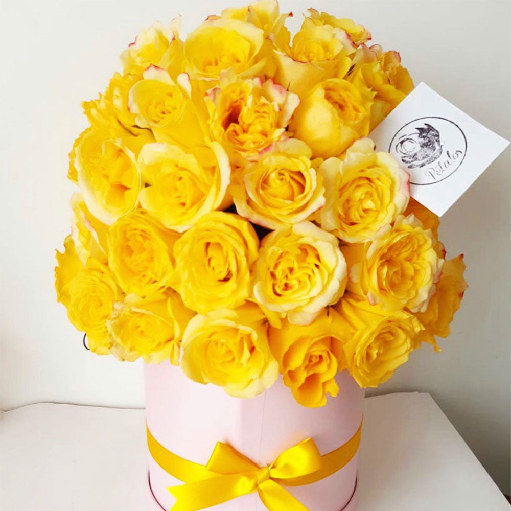 Caja de Rosas Amarillas - Pétalos
