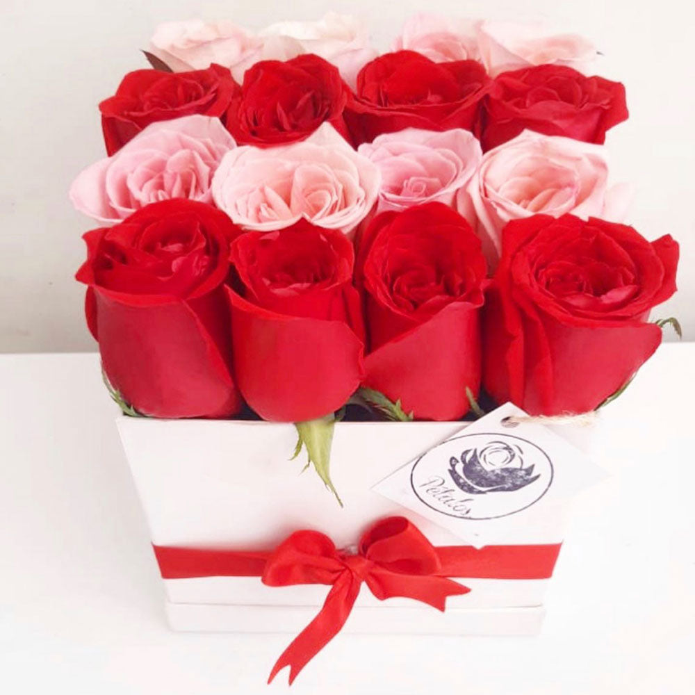 Caja de rosas rosadas y rojas - Pétalos