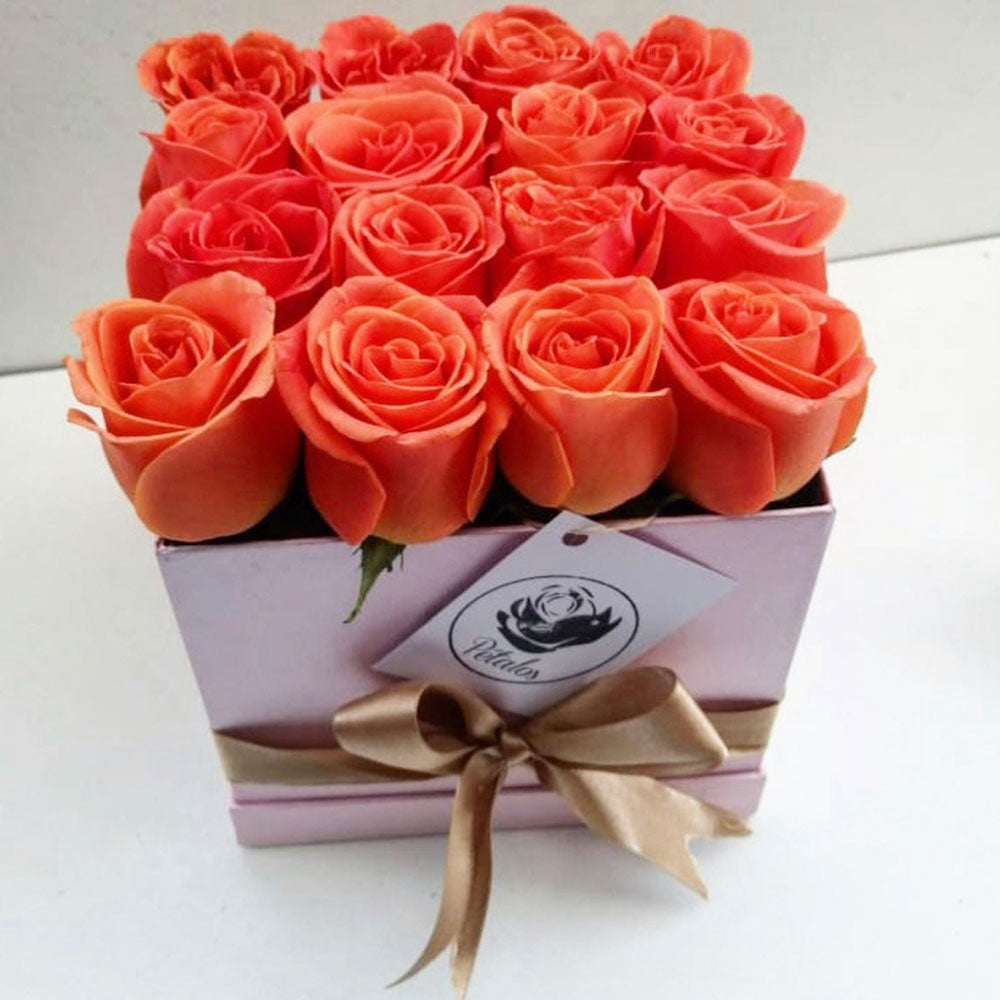 Caja de rosas rosadas y salmón - Pétalos