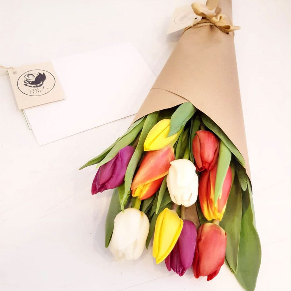 Cono de tulipanes - Pétalos
